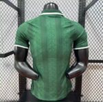 South Africa Home 2026 Worldcup Jersey  Player version - Image 4