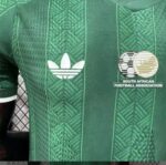 South Africa Home 2026 Worldcup Jersey  Player version - Image 5